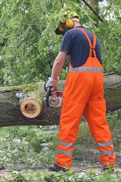 Feuerwehr_Baum   008.jpg